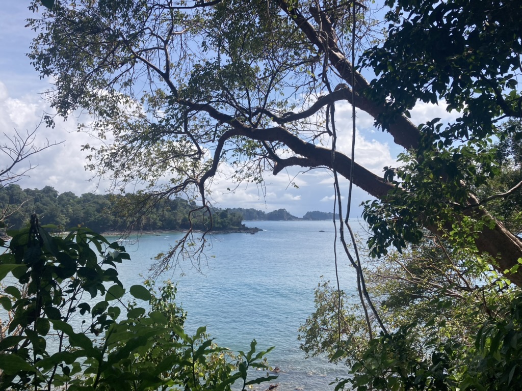 View from Punta Catedral