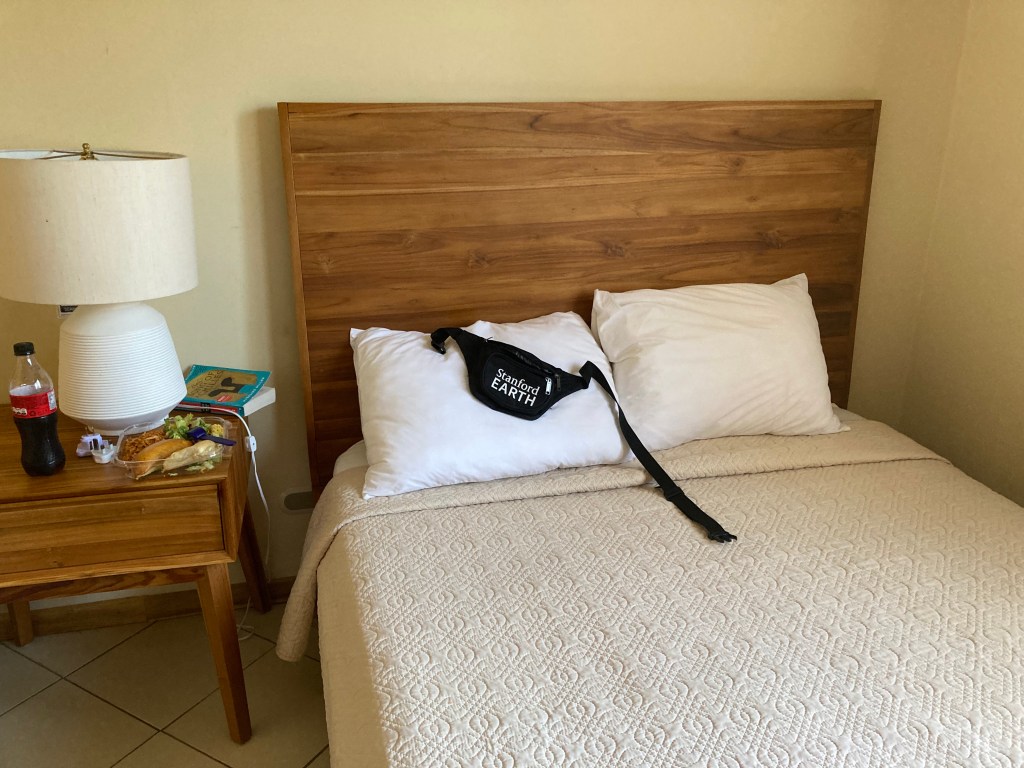 Hotel Las Espuelas - room