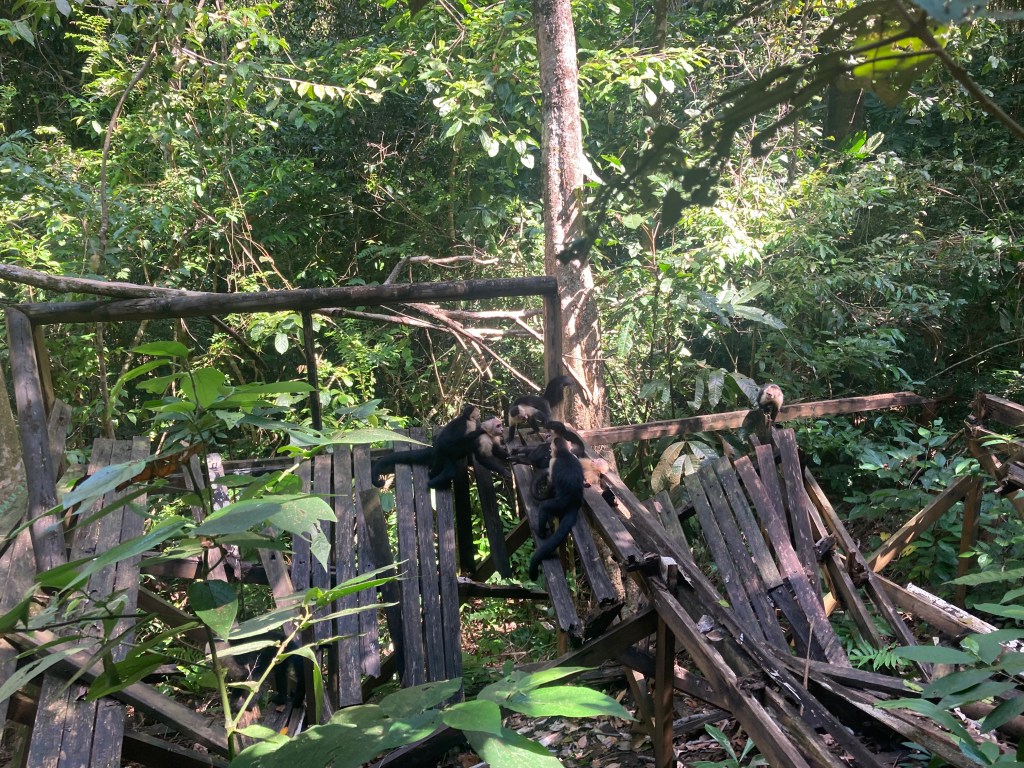 Sendero Punta Catedral