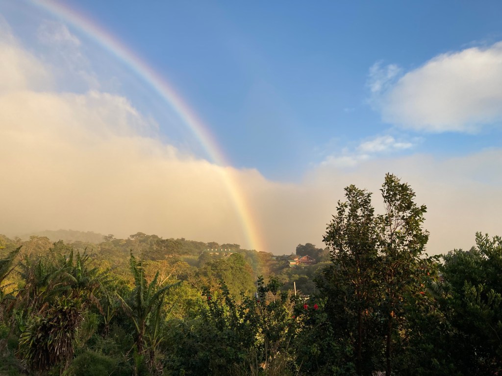 View from Hotel Santa Fe