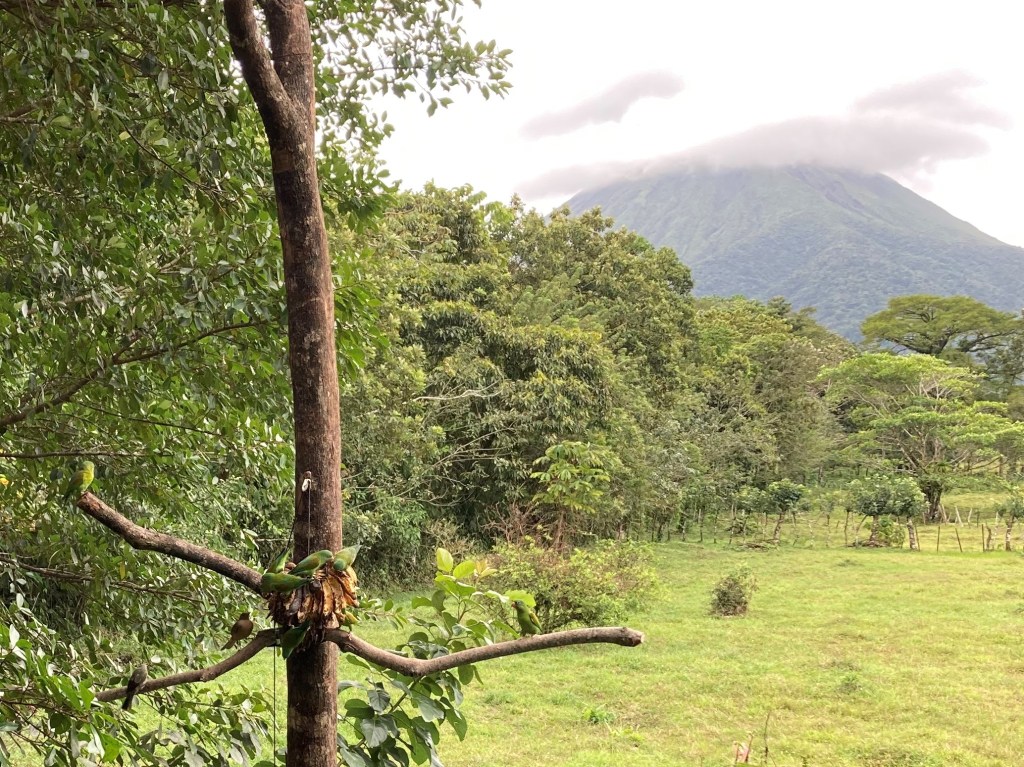 Arenal Volcano from Hotel Xilopalo