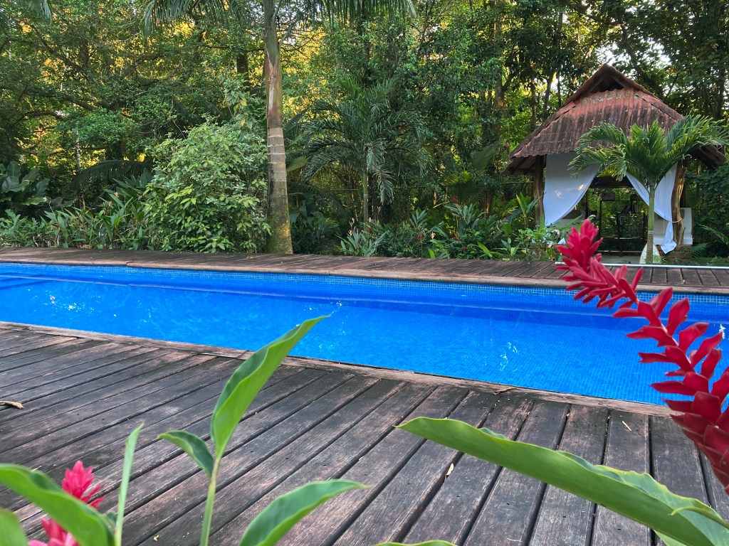 Villa Sevilla pool