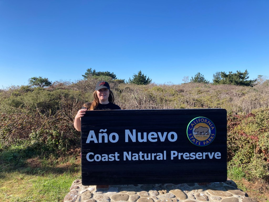 Año Nuevo Sate Park