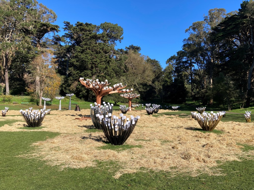 Golden Gate Park - 'Entwined'
