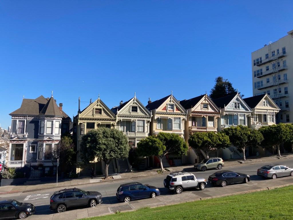 Painted Ladies