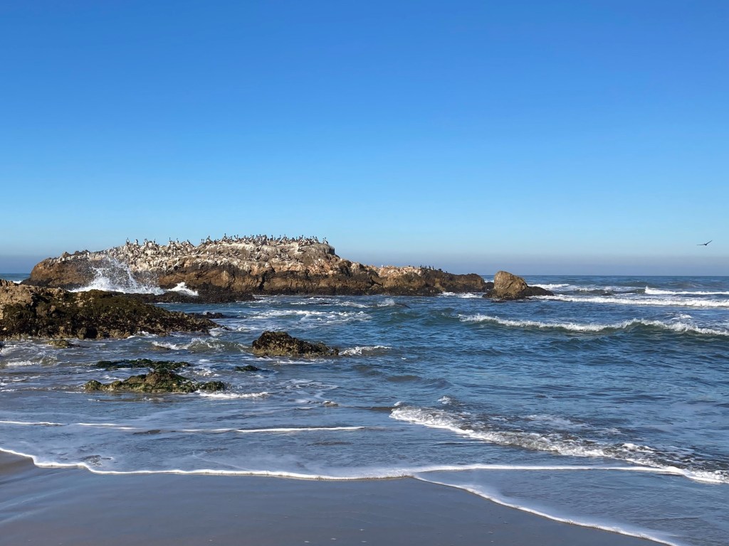 Pescadero State Beach