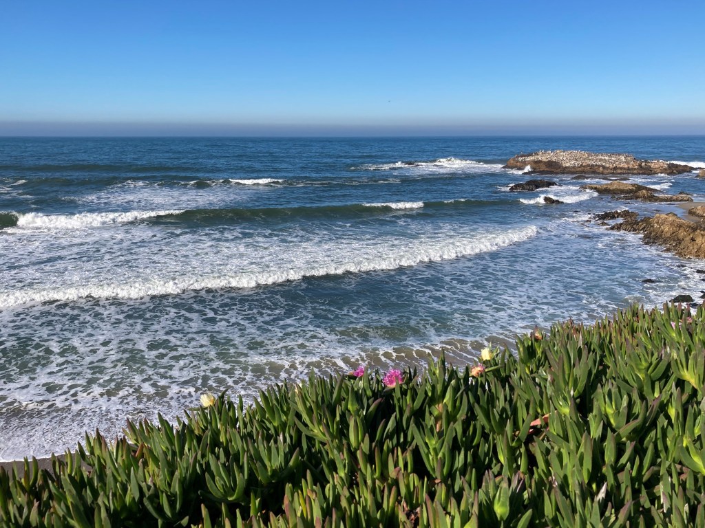 Pescadero State Beach