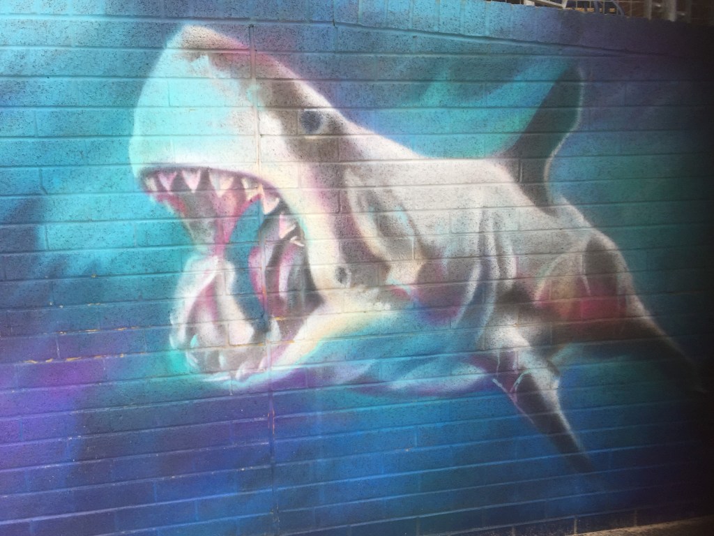 Selfie Wall Trail Hungry Shark - Owain Nicholls