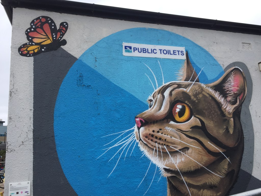 Selfie Wall Trail The Pussycat- Tech Moon