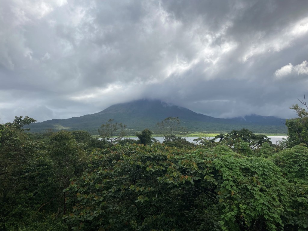 View from the Observation Tower