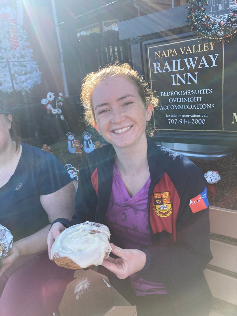 Model Bakery Cinnamon Bun