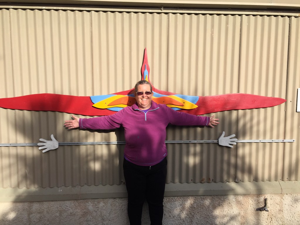 Albatross wingspan