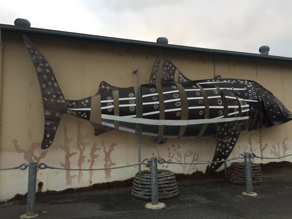 Apollo Bay Fisherman's Cooperative