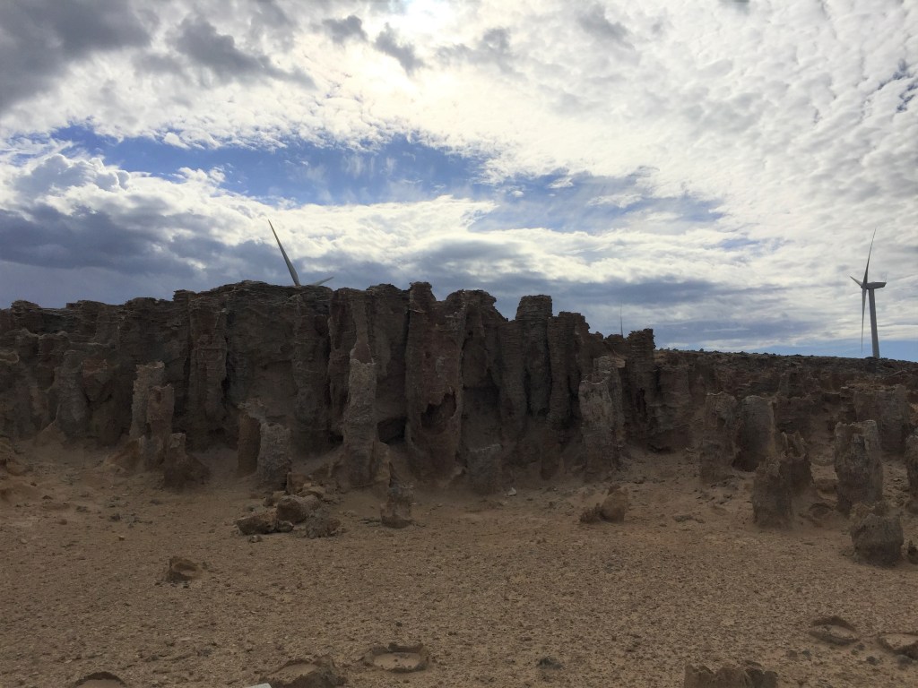 Cape Bridgewater Petrified Forest