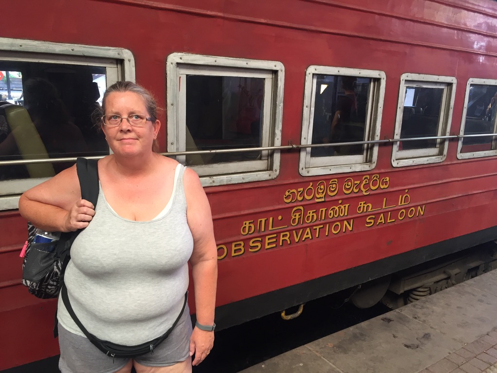 Observation Carriage