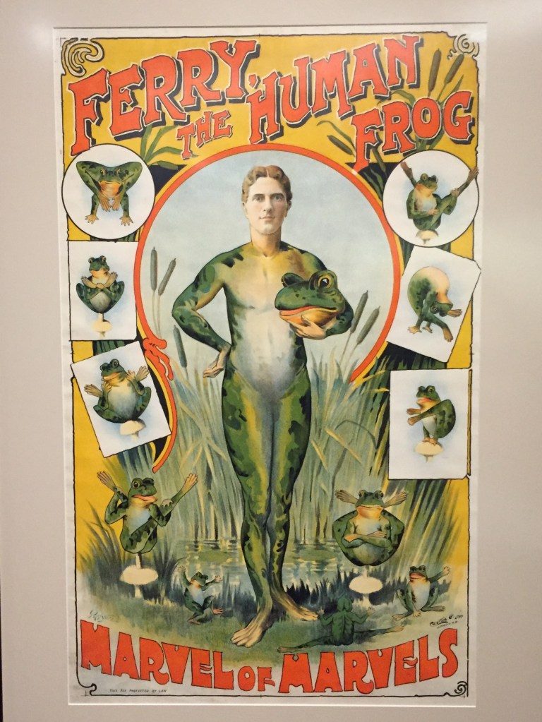 Otago Settlers Museum Adverts