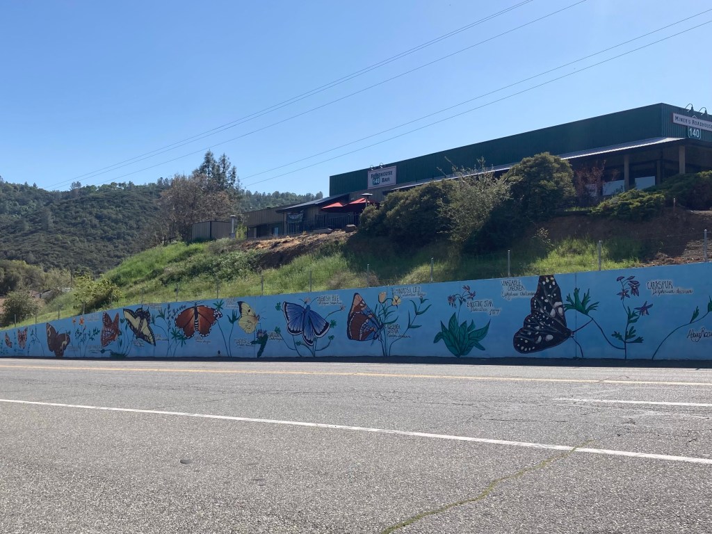 Mariposa in 1&nbsp;Day