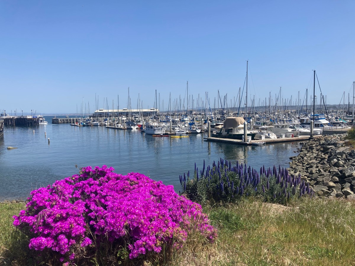 Monterey in 1&nbsp;Day