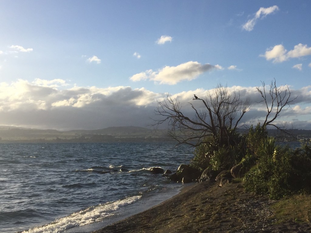 Lake Taupo