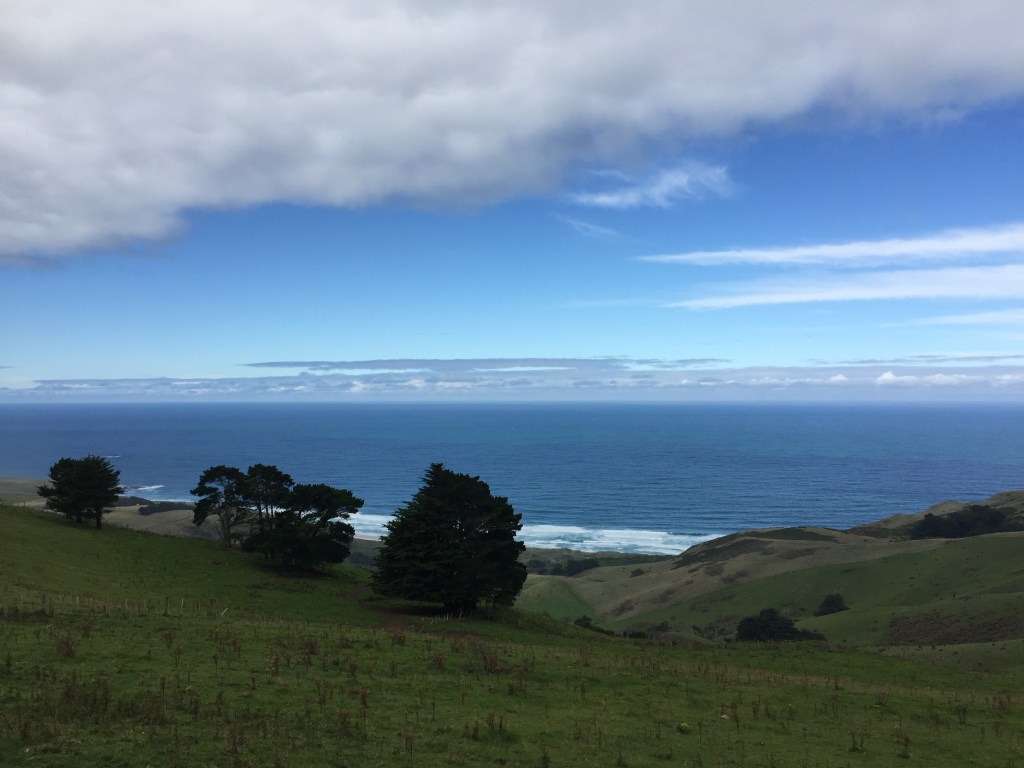 Otago Peninsula