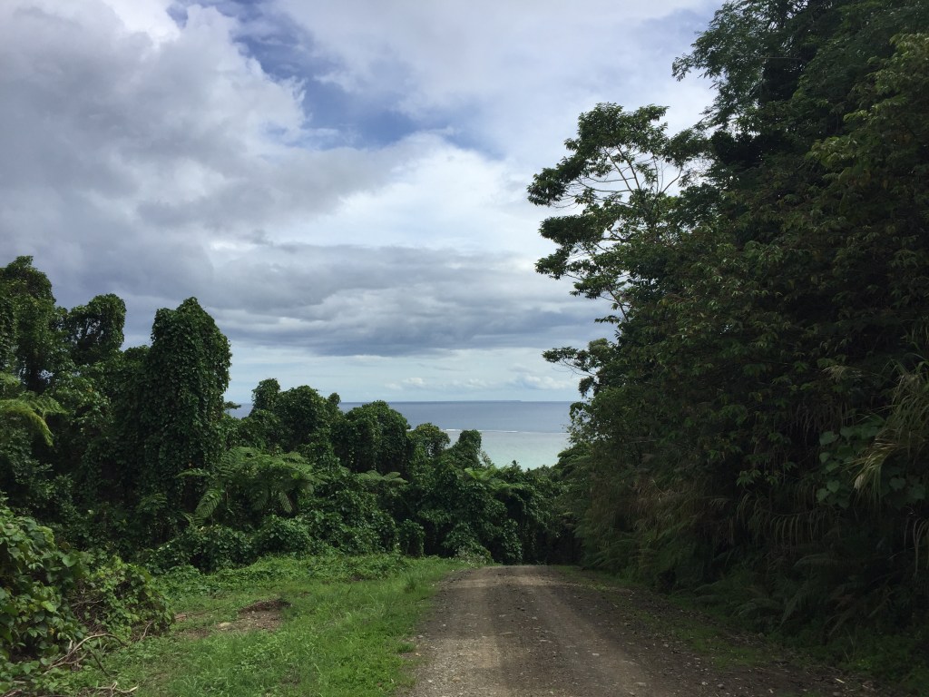 Wellesley Resort driveway