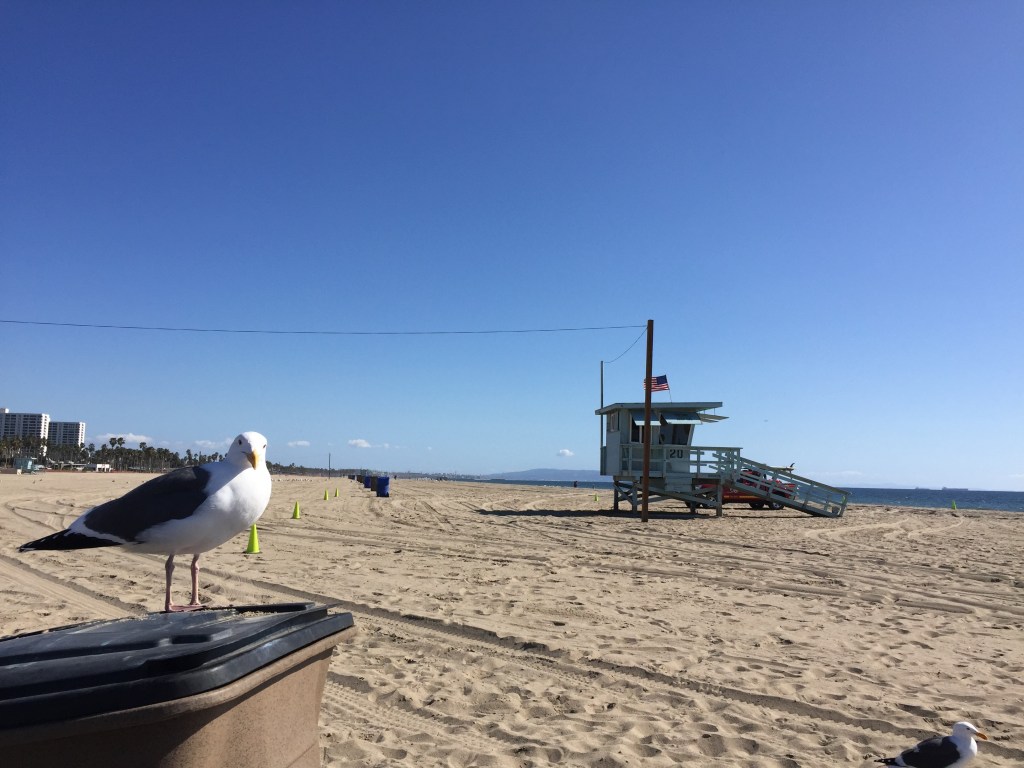 Santa Monica Beach