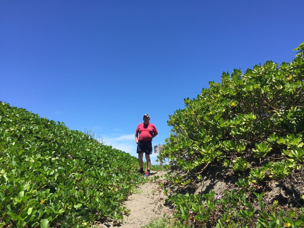 Sigatoka Sand Dunes