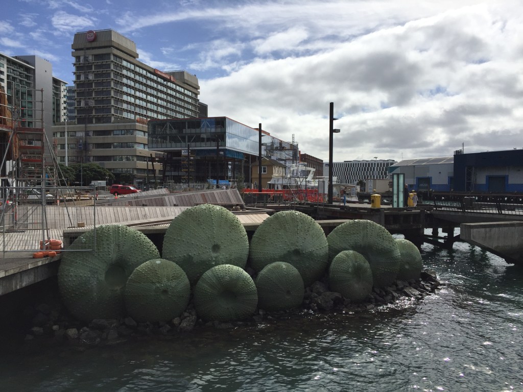 Wellington Harbourside sea urchins