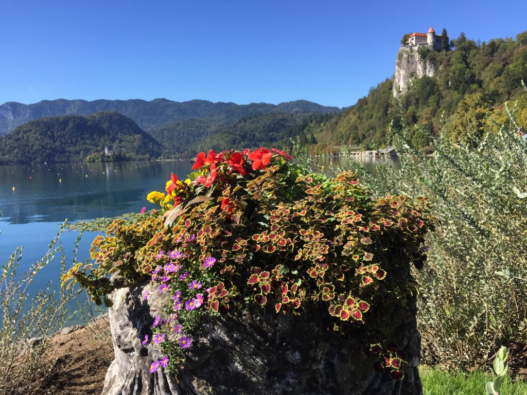 Bled Castle from Spa Park