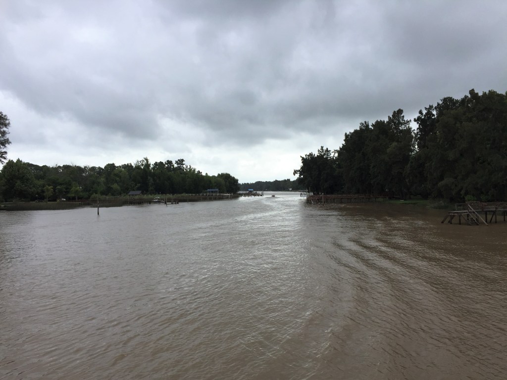 Tigre Delta