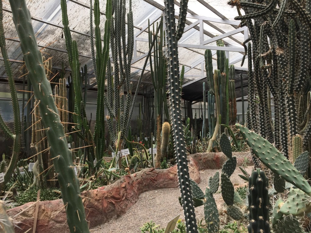 La Paz Botanical Garden