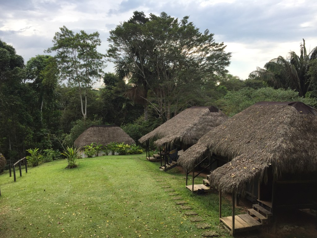 View of Cuyabeno Lodge from our Room