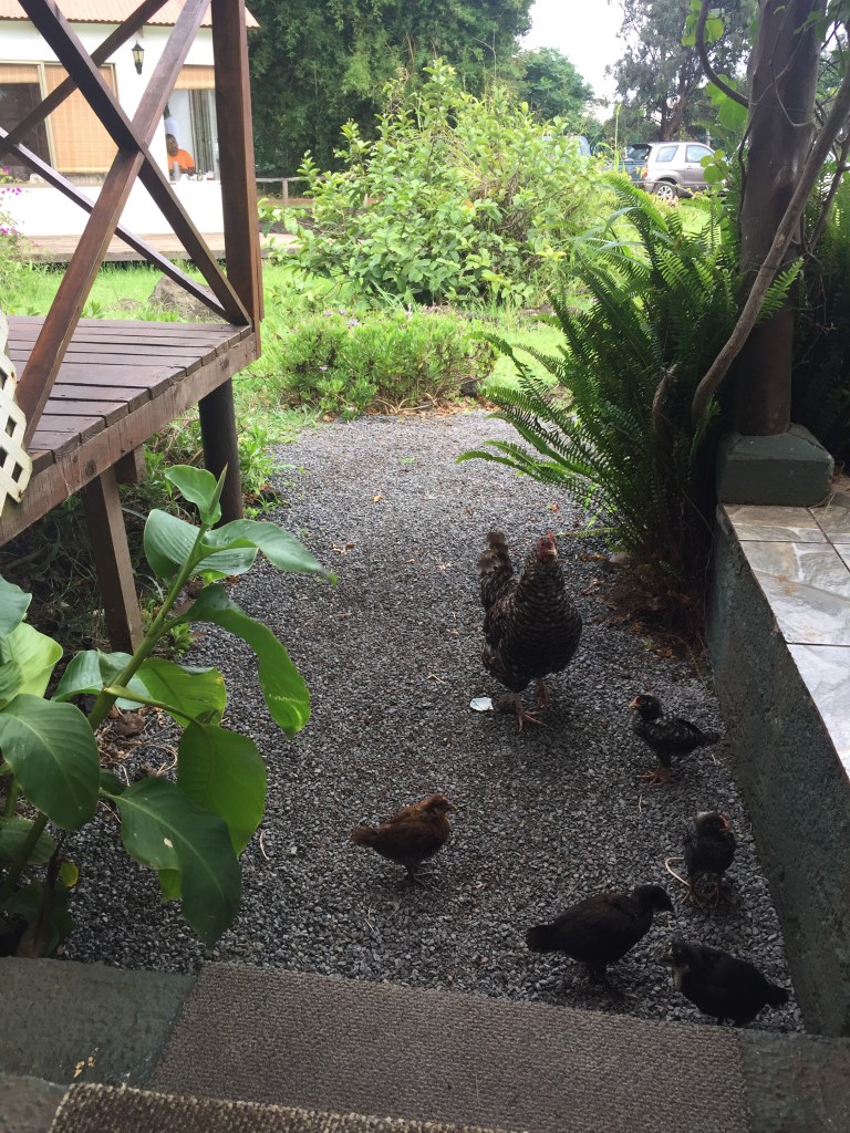 Time to get up at PARAÍSO Sunset Bungalows