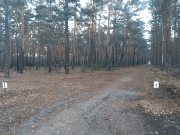 Zielona Gora Parkrun