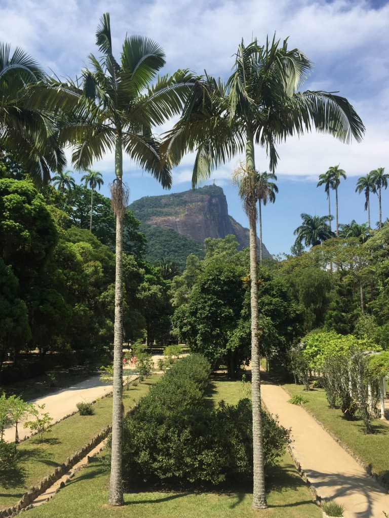 Rio Botanical Garden