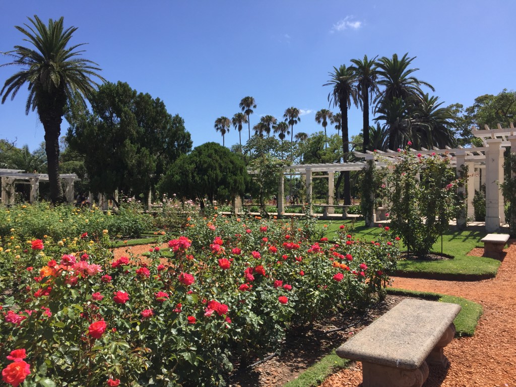 Rose Garden