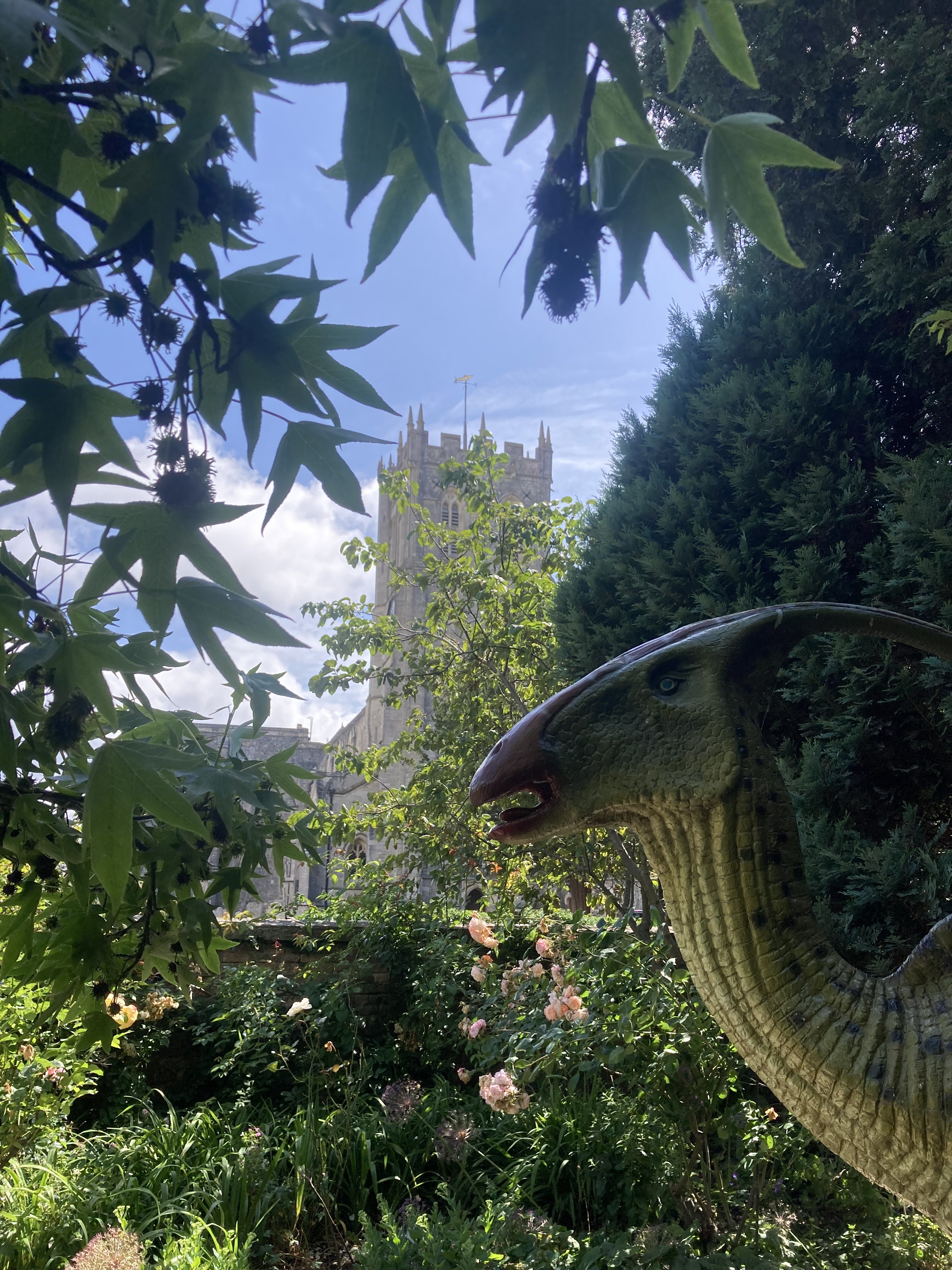 Red House Museum Dinosaur