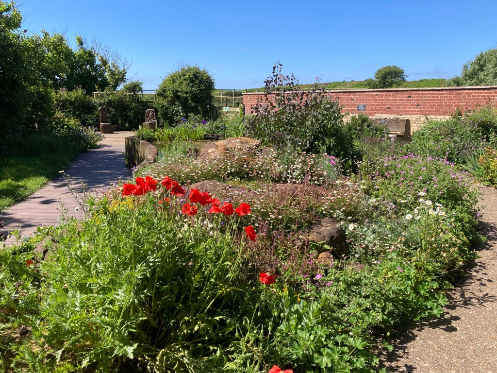 Rear of Visitor Centre