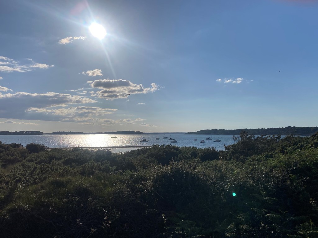 Poole Harbour from the Bus