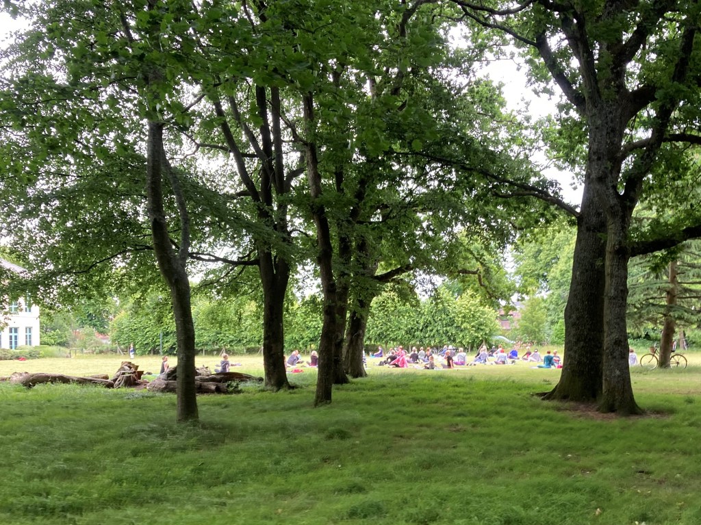 Yoga in Shelley Park