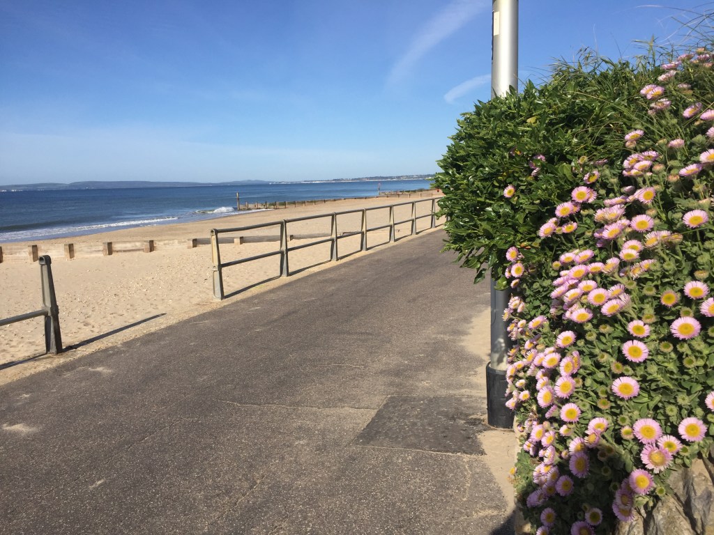 Prom at Southbourne Beach
