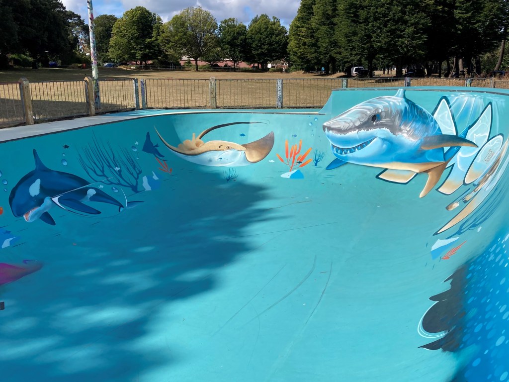 Kings Park Skate Park