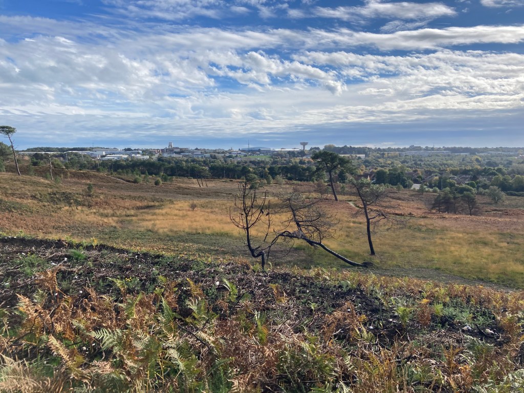 View from Canford Heath