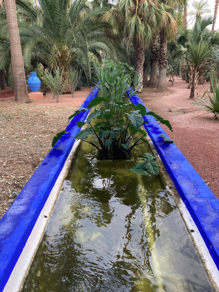 Jardin Majorelle