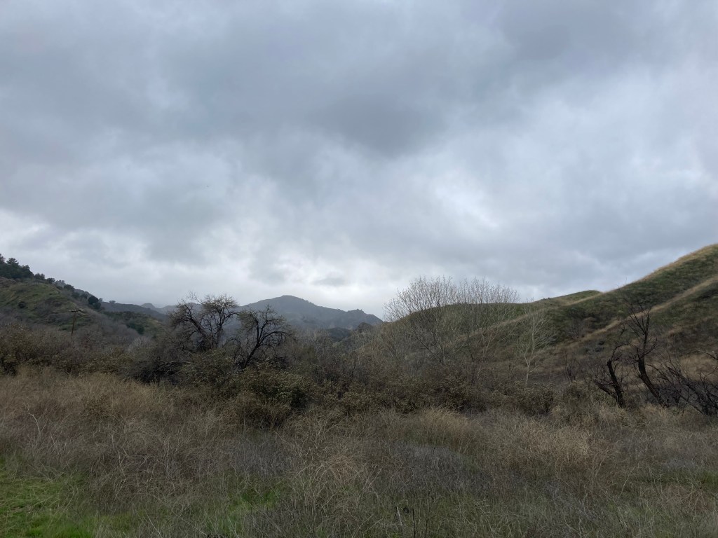Towsley Canyon Park