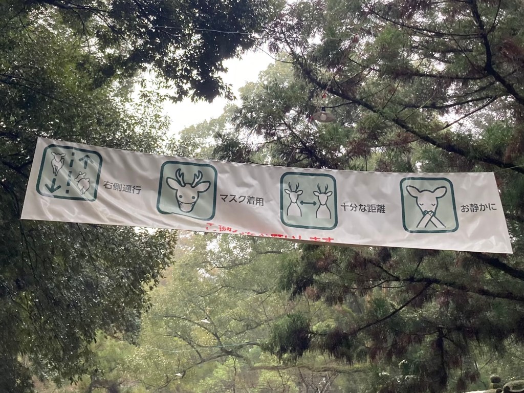 Deer themed instructions