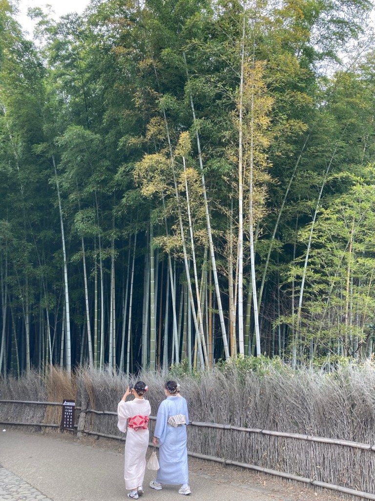 Arashiyama Bamboo Grove