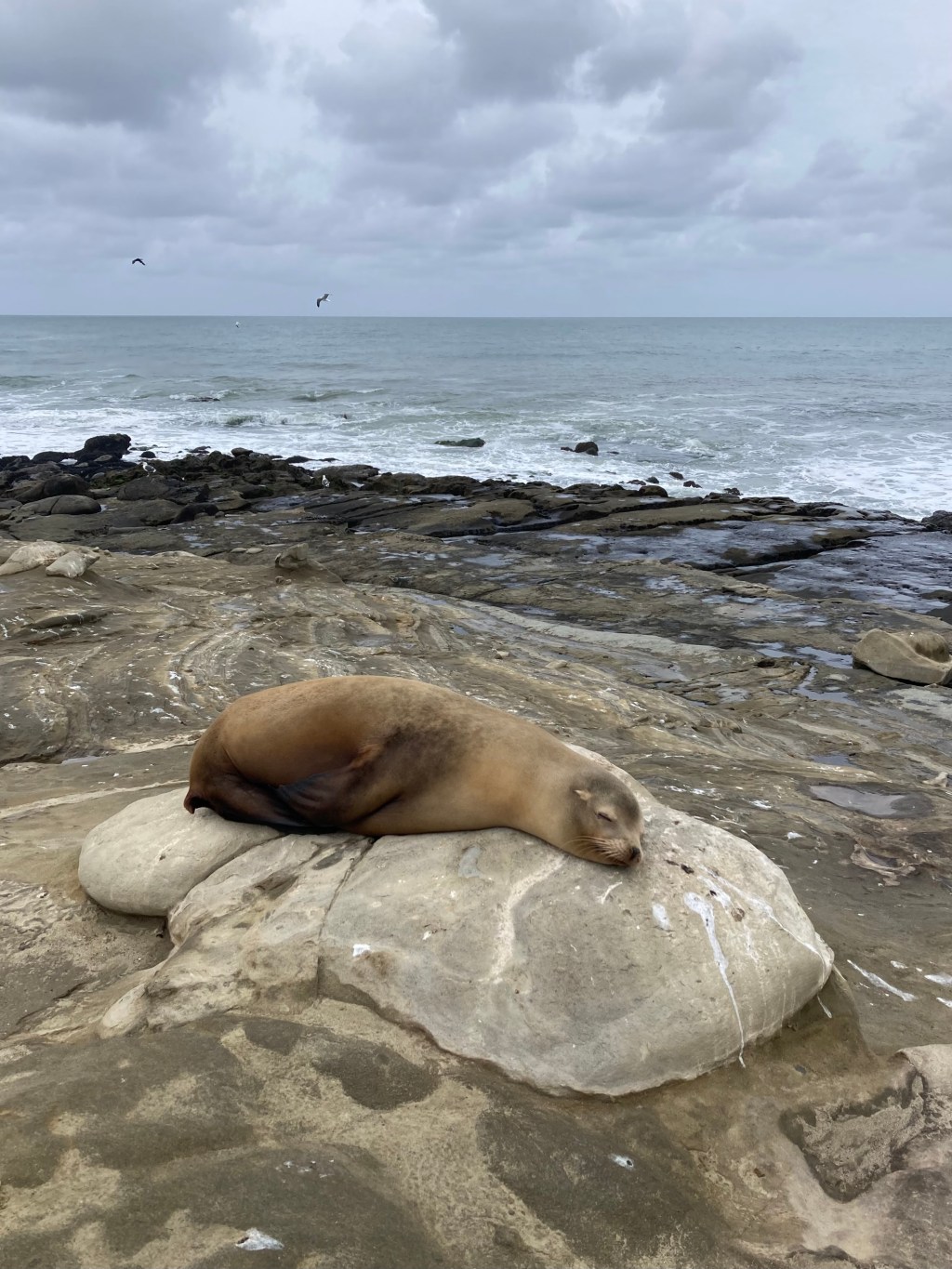 La Jolla in 1&nbsp;Day