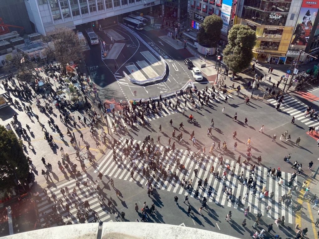 Shibuya Crossing from Mag’s Park