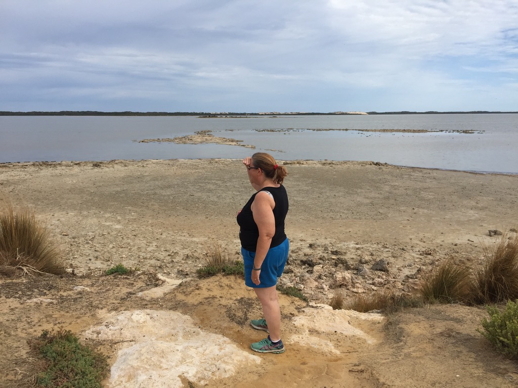 Jack's Point Pelican Observatory